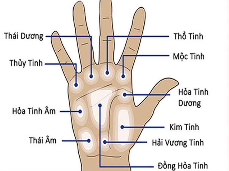 Hướng dẫn cách xem chỉ tay đi định cư nước ngoài